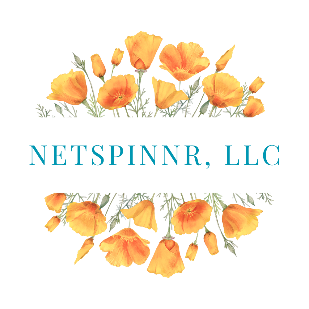 NetSpinnr